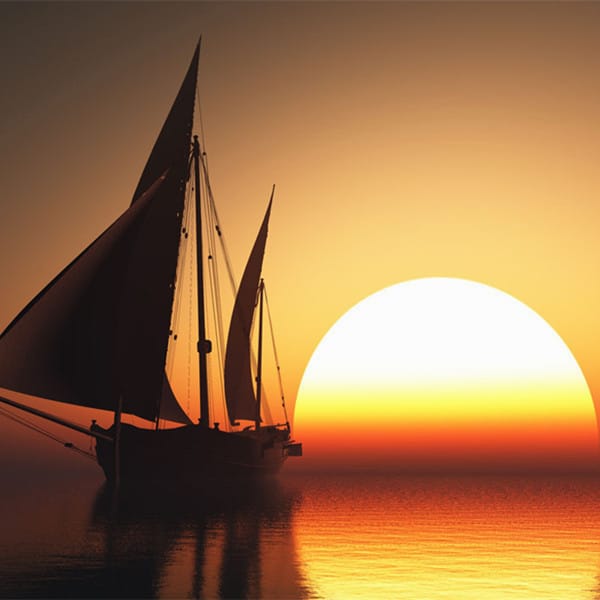 زینب علی avatar