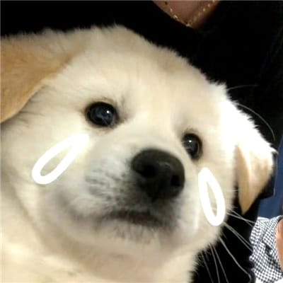 Mohammad Yousaf avatar